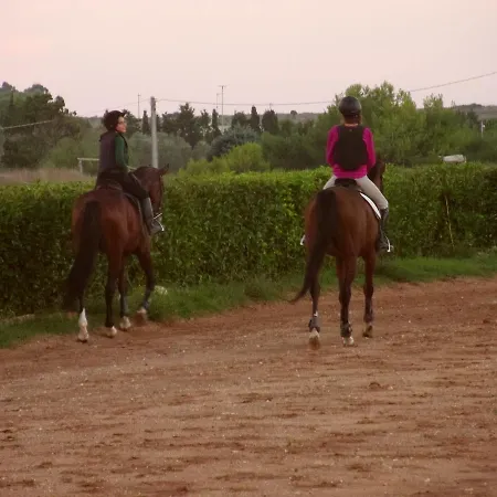 فندق مبيت وإفطار La Terrazza Sul Mare أوترانتو